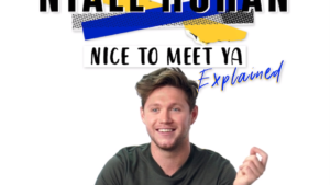 Niall Horan: Nice to Meet Ya: Explained